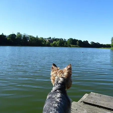 Wysockie Zacisze Hytte Gdańsk