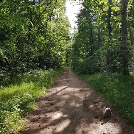 Wysockie Zacisze Lodge Gdansk