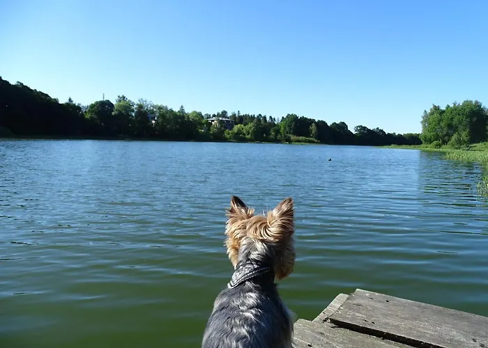 Wysockie Zacisze אכסניה גדנסק