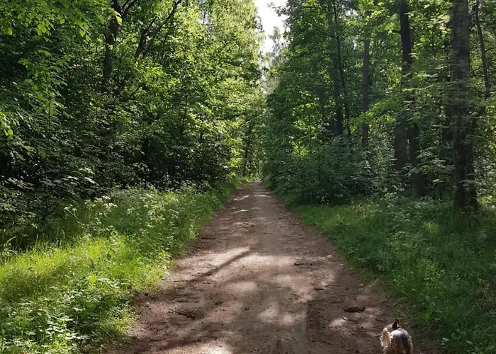 Wysockie Zacisze Chata Gdaňsk